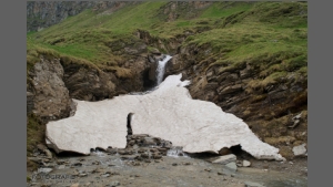 DSC_2710-e.jpg