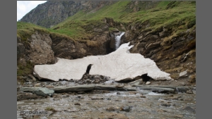DSC_2743-e.jpg