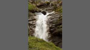 DSC_2809-e.jpg