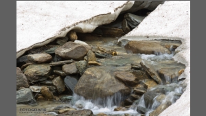 DSC_2895-e.jpg