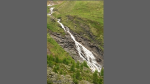 DSC_3124-e.jpg