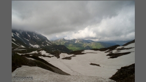 DSC_3134-e.jpg