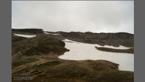 DSC_3144-e.jpg