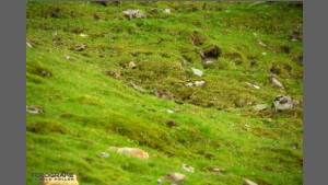 DSC_3290-e.jpg