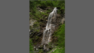DSC_3739-e.jpg
