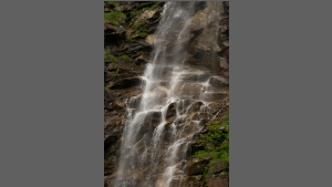 DSC_3783-e.jpg
