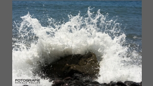 DSC_6799-e.jpg