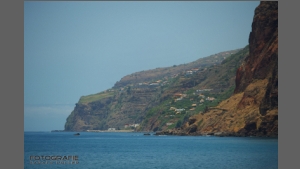 DSC_6862-e.jpg