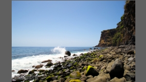 DSC_6922-e.jpg