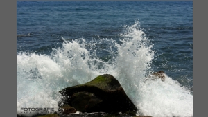 DSC_7093-e.jpg