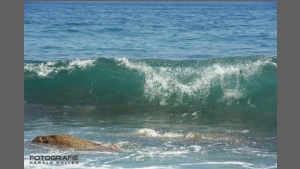 DSC_7175-e.jpg