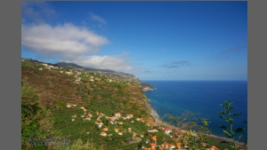 DSC_7311-e.jpg