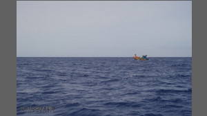 DSC_8134-e.jpg
