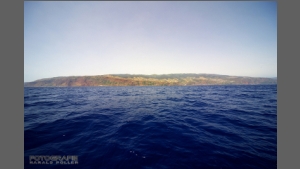 DSC_8451-e.jpg