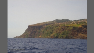 DSC_8475-e.jpg