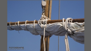 DSC_8505-e.jpg