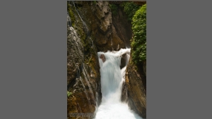 DSC_0104-e.jpg