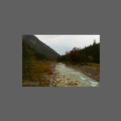 DSCF2113.jpg