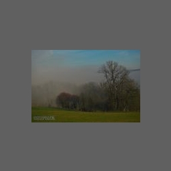 DSCF2800-e.jpg