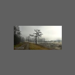 DSCF2851-e.jpg