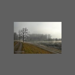 DSCF2874-e.jpg