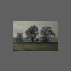 DSCF2901-e.jpg