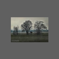 DSCF2959-e.jpg