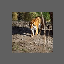 DSC_5918.jpg