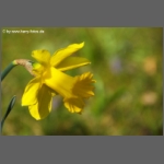 DSCF3057-e.jpg