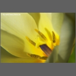 DSCF4762-e.jpg