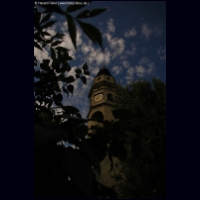 DSC_3657b.jpg
