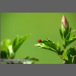 DSC_3902-e.jpg