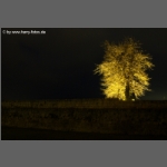 DSCF7412-e.jpg