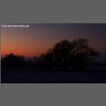 DSCF8508-e.jpg