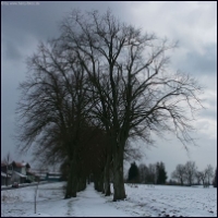 PICT0438.jpg