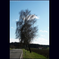 PICT1098.jpg