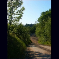 PICT1376b.jpg