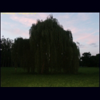 PICT3064.jpg