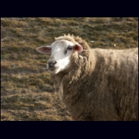 PICT0100.jpg
