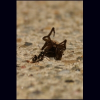 PICT0914.jpg
