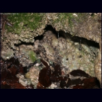 PICT0019.jpg