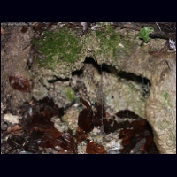 PICT0022.jpg