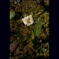 PICT0005.jpg