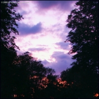 DSCF8507.jpg