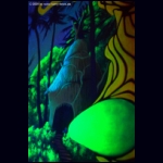 DSCF4763.jpg