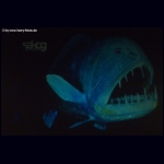 DSCF6830.jpg