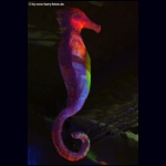DSCF6892.jpg