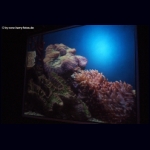 DSCF6981.jpg
