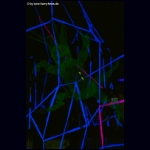 DSCF9352.jpg