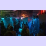 DSCF4768.jpg